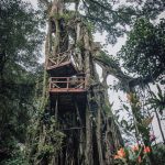 Rumah Pohon Petungkriyono by Briano Joshua